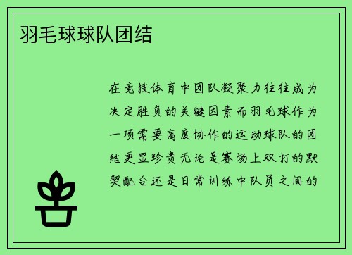 羽毛球球队团结