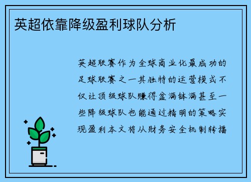 英超依靠降级盈利球队分析